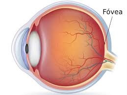 dislessia e movimenti oculari 1